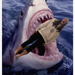 Meet your Posher, Ann ellis